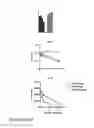 Fig. 24 - PERFORIN 2 DEFENSE AGAINST INVASIVE AND MULTIDRUG RESISTANT PATHOGENS
