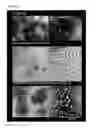 Fig. 31 - PERFORIN 2 DEFENSE AGAINST INVASIVE AND MULTIDRUG RESISTANT PATHOGENS