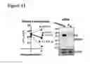 Fig. 33 - PERFORIN 2 DEFENSE AGAINST INVASIVE AND MULTIDRUG RESISTANT PATHOGENS