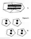 Fig. 11 - REFERENCE STANDARD FOR DIAGNOSTIC APPLICATIONS