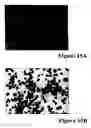 Fig. 20 - REFERENCE STANDARD FOR DIAGNOSTIC APPLICATIONS