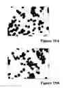 Fig. 23 - REFERENCE STANDARD FOR DIAGNOSTIC APPLICATIONS