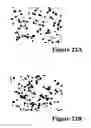 Fig. 28 - REFERENCE STANDARD FOR DIAGNOSTIC APPLICATIONS