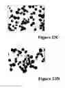 Fig. 30 - REFERENCE STANDARD FOR DIAGNOSTIC APPLICATIONS