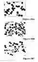 Fig. 32 - REFERENCE STANDARD FOR DIAGNOSTIC APPLICATIONS