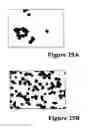 Fig. 33 - REFERENCE STANDARD FOR DIAGNOSTIC APPLICATIONS