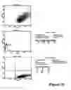 Fig. 34 - REFERENCE STANDARD FOR DIAGNOSTIC APPLICATIONS
