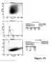 Fig. 37 - REFERENCE STANDARD FOR DIAGNOSTIC APPLICATIONS