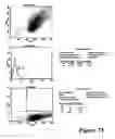 Fig. 41 - REFERENCE STANDARD FOR DIAGNOSTIC APPLICATIONS