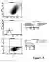 Fig. 42 - REFERENCE STANDARD FOR DIAGNOSTIC APPLICATIONS