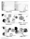 Fig. 59 - REFERENCE STANDARD FOR DIAGNOSTIC APPLICATIONS