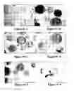 Fig. 62 - REFERENCE STANDARD FOR DIAGNOSTIC APPLICATIONS