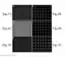 Fig. 04 - Arrays and methods for guided cell patterning