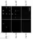 Fig. 10 - Arrays and methods for guided cell patterning