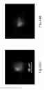 Fig. 16 - Arrays and methods for guided cell patterning