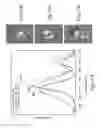 Fig. 17 - Arrays and methods for guided cell patterning
