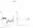 Fig. 04 - MOLECULAR TARGETS AND COMPOUNDS, AND METHODS TO IDENTIFY THE SAME, USEFUL IN THE TREATMENT OF FIBROTIC DISEASES