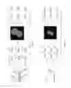 Fig. 10 - System and method for iterative detection of biological molecules