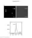 Fig. 17 - System and method for iterative detection of biological molecules