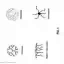 Fig. 02 - Polymer conjugate enhanced bioassays