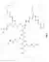 Fig. 06 - Polymer conjugate enhanced bioassays