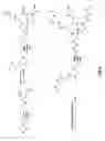 Fig. 07 - Polymer conjugate enhanced bioassays