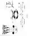 Fig. 13 - Electrochemical lateral flow bioassay and biosensor