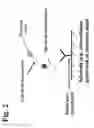 Fig. 03 - Peptides, devices, and methods for the detection of ehrlichia antibodies