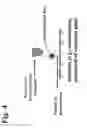 Fig. 05 - Peptides, devices, and methods for the detection of ehrlichia antibodies