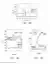 Fig. 20 - Nanoelectronic-enzyme linked immunosorbent assay system and method