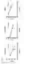 Fig. 05 - Markers for determination of patient responsiveness