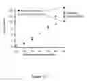 Fig. 11 - Homogenous thermal shift ligand binding assay