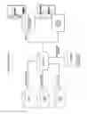 Fig. 16 - MOLECULAR PROFILING OF TUMORS