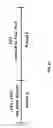 Fig. 78 - MOLECULAR PROFILING OF TUMORS