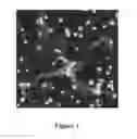 Fig. 02 - Rare cell concentration