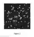 Fig. 03 - Rare cell concentration