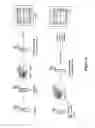 Fig. 05 - RAPID PROTEIN LABELING AND ANALYSIS
