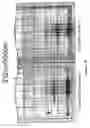 Fig. 19 - RAPID PROTEIN LABELING AND ANALYSIS