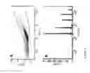 Fig. 02 - Method for detecting aSyn-specific antibodies in a biological sample