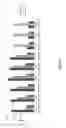 Fig. 09 - Method for detecting aSyn-specific antibodies in a biological sample