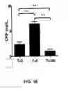 Fig. 04 - FUTURE CARDIAC EVENT BIOMARKERS