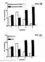 Fig. 06 - FUTURE CARDIAC EVENT BIOMARKERS