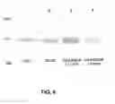 Fig. 15 - FUTURE CARDIAC EVENT BIOMARKERS