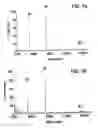 Fig. 16 - FUTURE CARDIAC EVENT BIOMARKERS