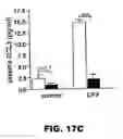 Fig. 33 - FUTURE CARDIAC EVENT BIOMARKERS