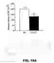 Fig. 34 - FUTURE CARDIAC EVENT BIOMARKERS