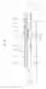 Fig. 09 - PHYSICAL QUANTITY SENSOR, ELECTRONIC DEVICE, AND MOBILE BODY