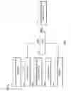Fig. 10 - Refocussing pulse having an incremental phase