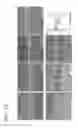 Fig. 07 - Anti-reflection nano-coating structure