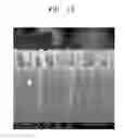 Fig. 09 - Anti-reflection nano-coating structure